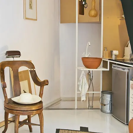 Passer Domesticus Thessaloniki
