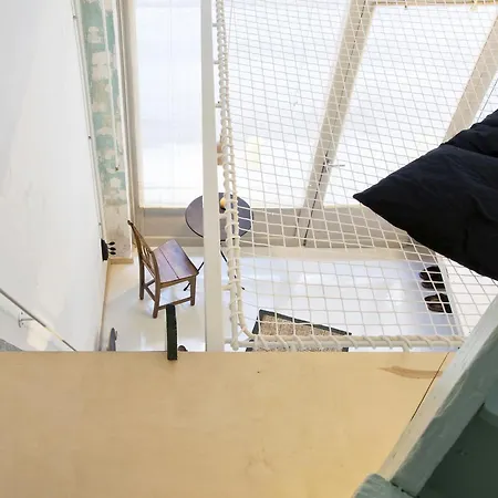 Passer Domesticus Soluň