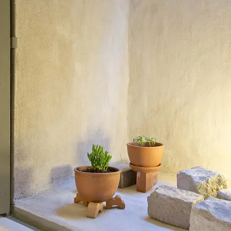 Passer Domesticus Appartamento