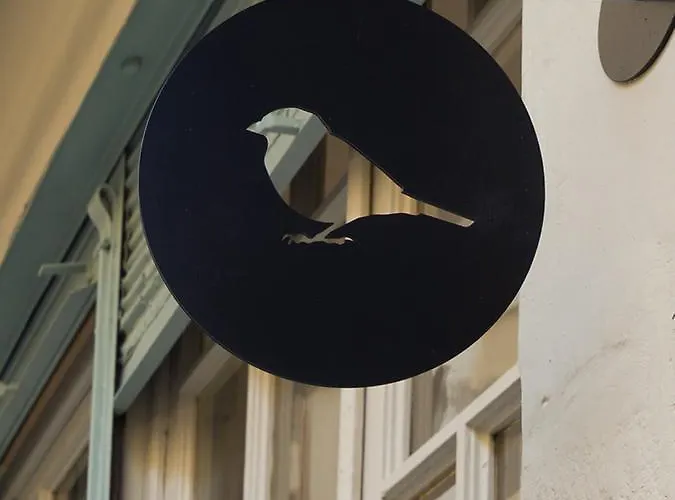 Passer Domesticus